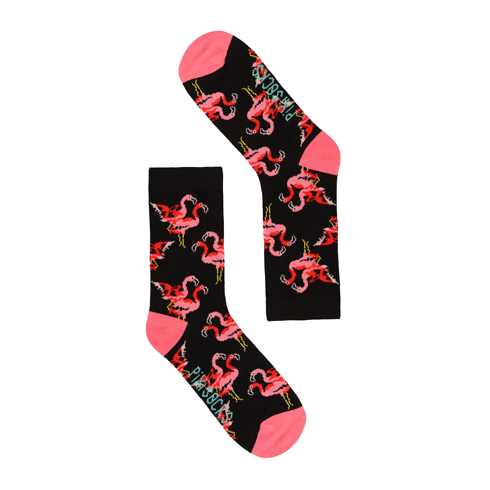 6 Flamencos Standard Unisex - Imagen 1